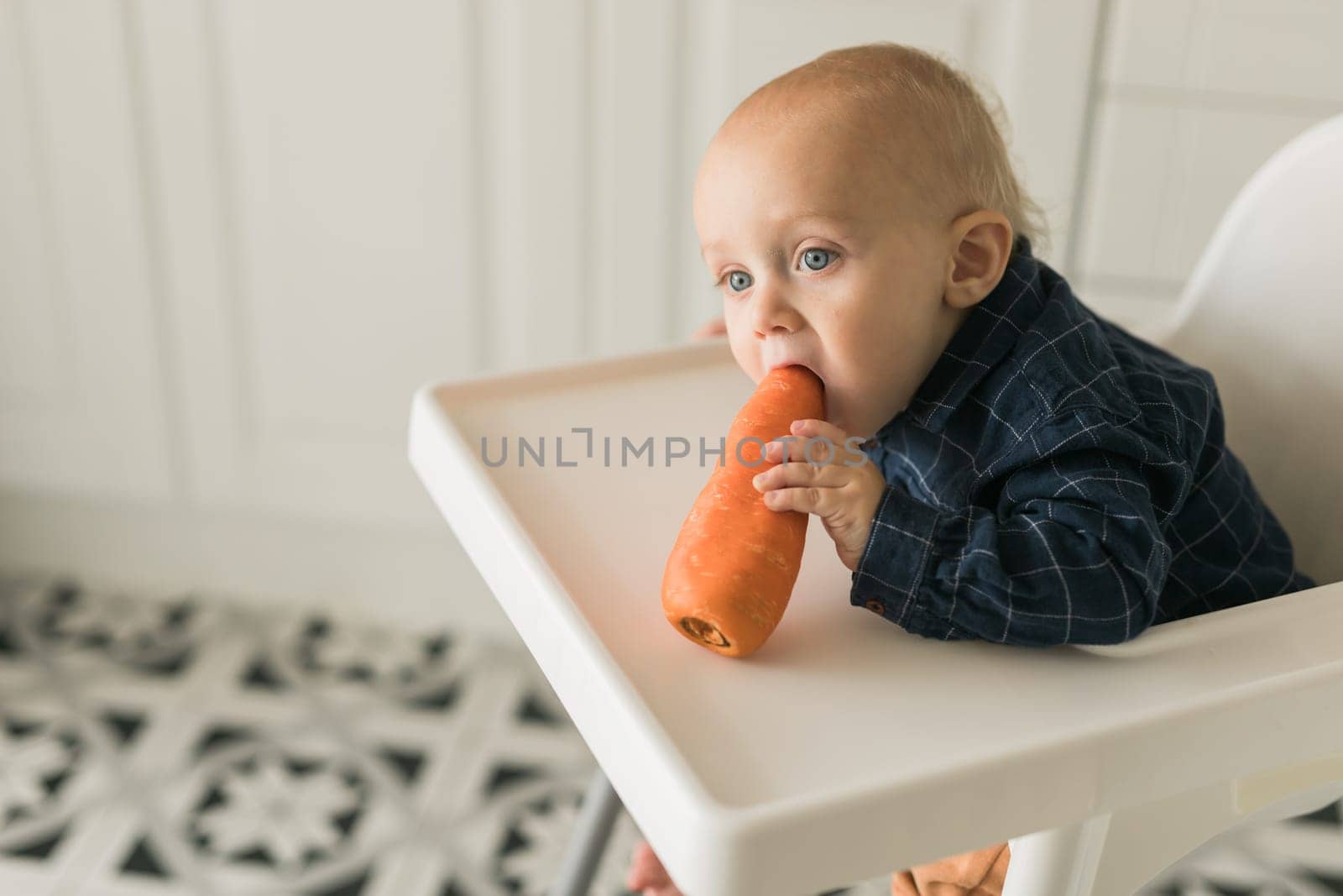 Happy baby sitting in high chair eating carrot in kitchen. Healthy nutrition for kids. Bio carrot as first solid food for infant. Children eat vegetables. Little boy biting raw vegetable