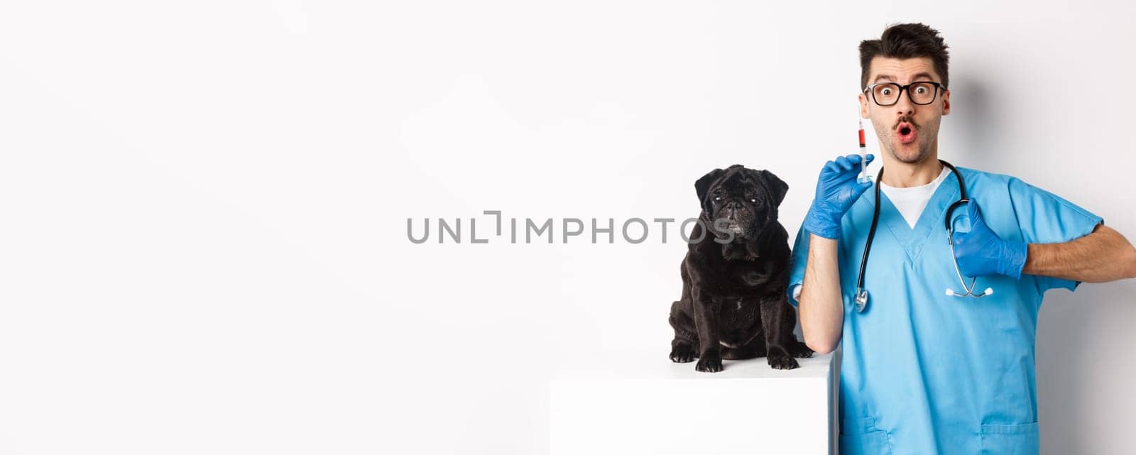 Handsome male doctor veterinarian holding syringe and standing near cute black pug, vaccinating dog, white background.