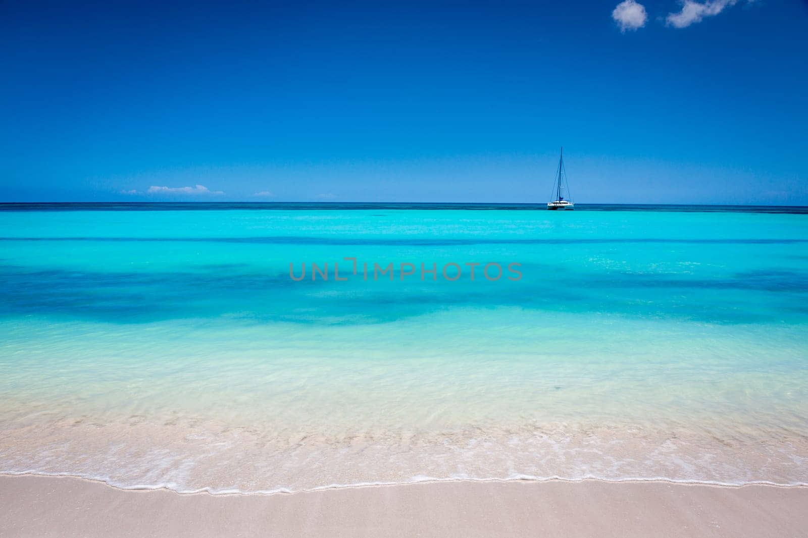 palm trees against blue sky and beautiful beach in Punta Cana at sunny day, Dominican Republic.