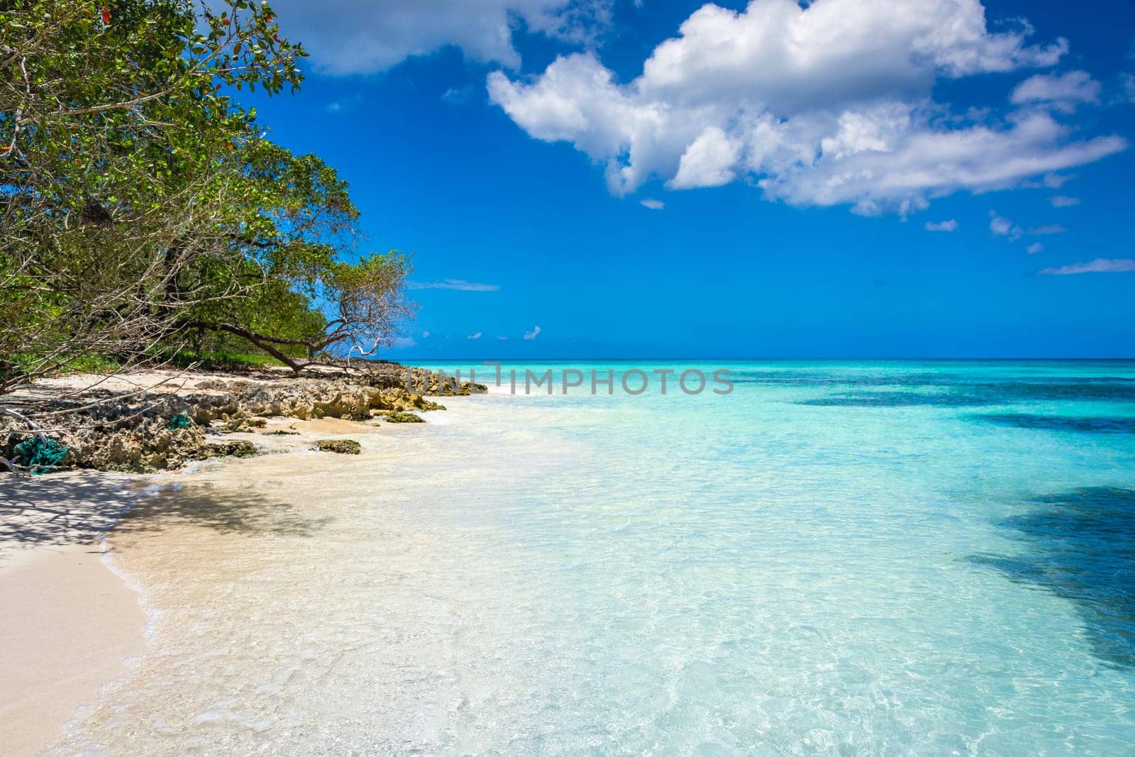 palm trees against blue sky and beautiful beach in Punta Cana at sunny day, Dominican Republic.