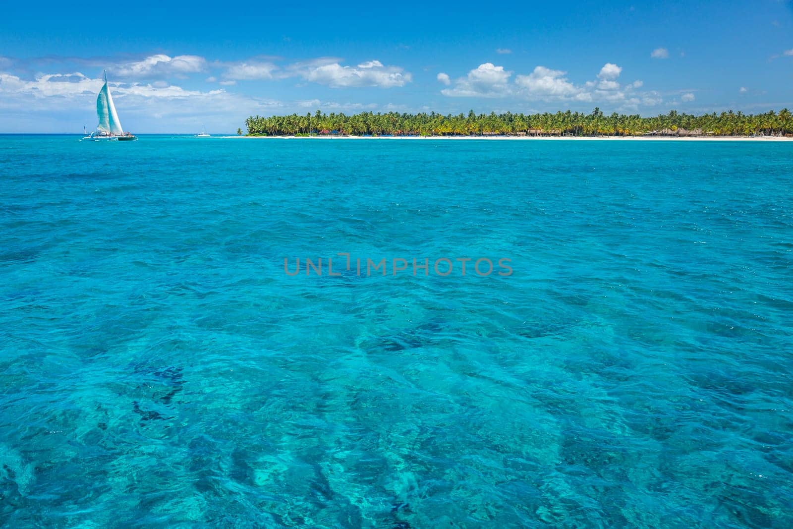 palm trees against blue sky and beautiful beach in Punta Cana at sunny day, Dominican Republic.