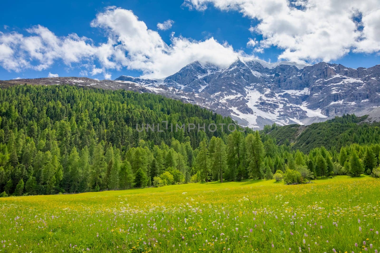 Idyllic landscape in Stelvio pass valley and Ortler massif, italian Dolomites at springtime, Italy