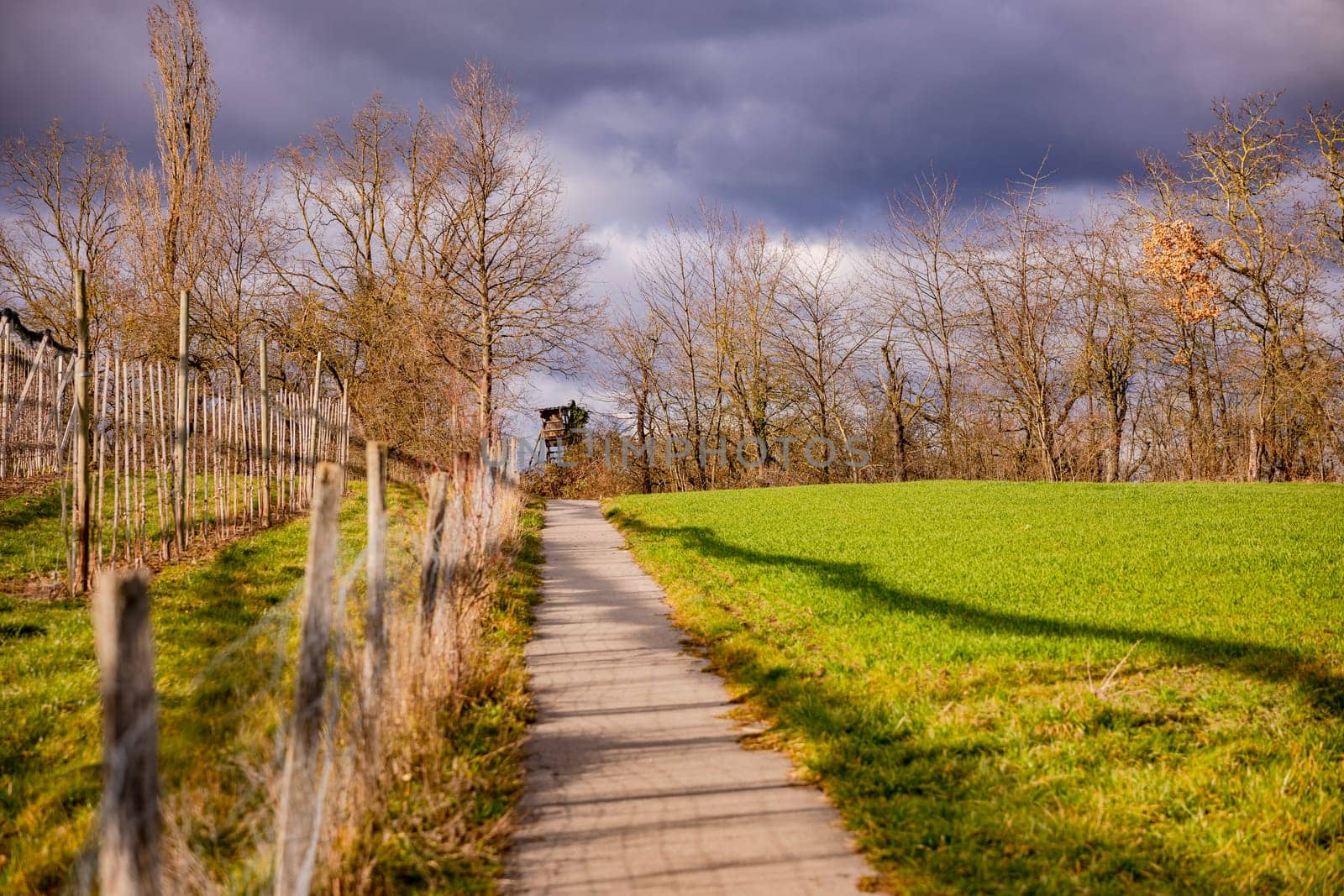 A footpath by a fence with meadow and trees in winter with sunset and dramatic clouds