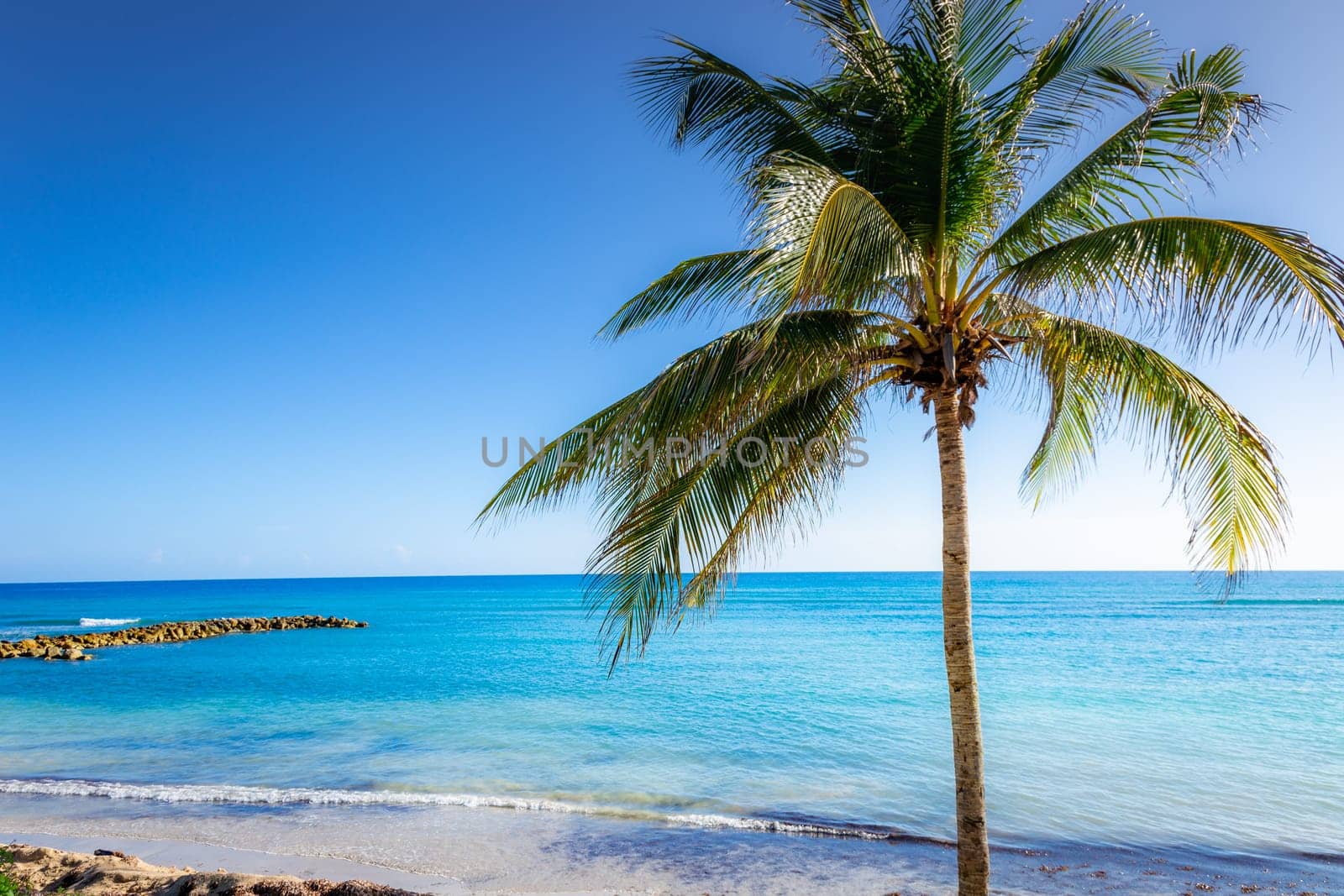 Tropical caribbean beach with turquoise waters in idyllic Montego Bay, Jamaica