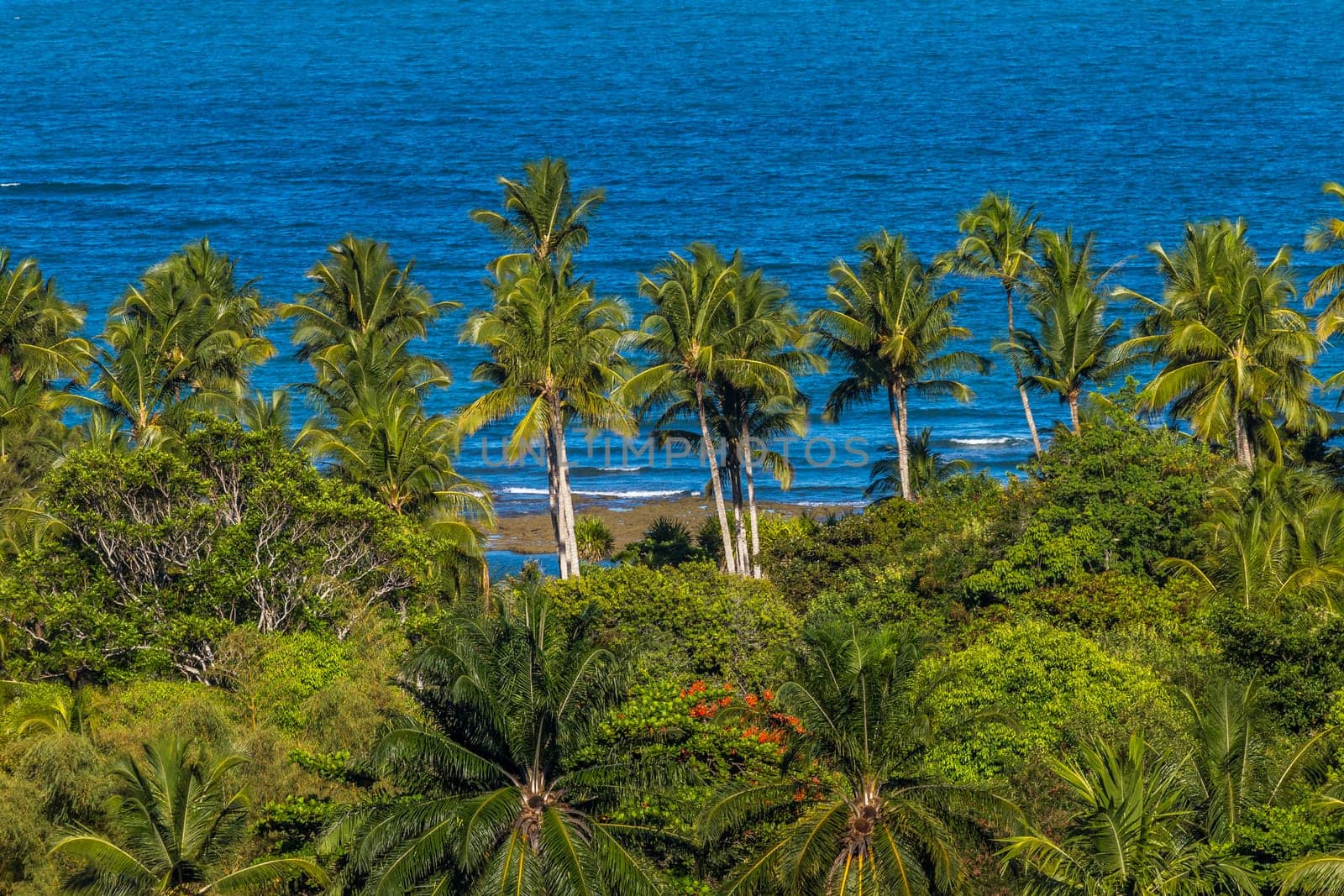 Idyllic Porto Seguro Beach at sunrise in Trancoso, Porto Seguro, BAHIA