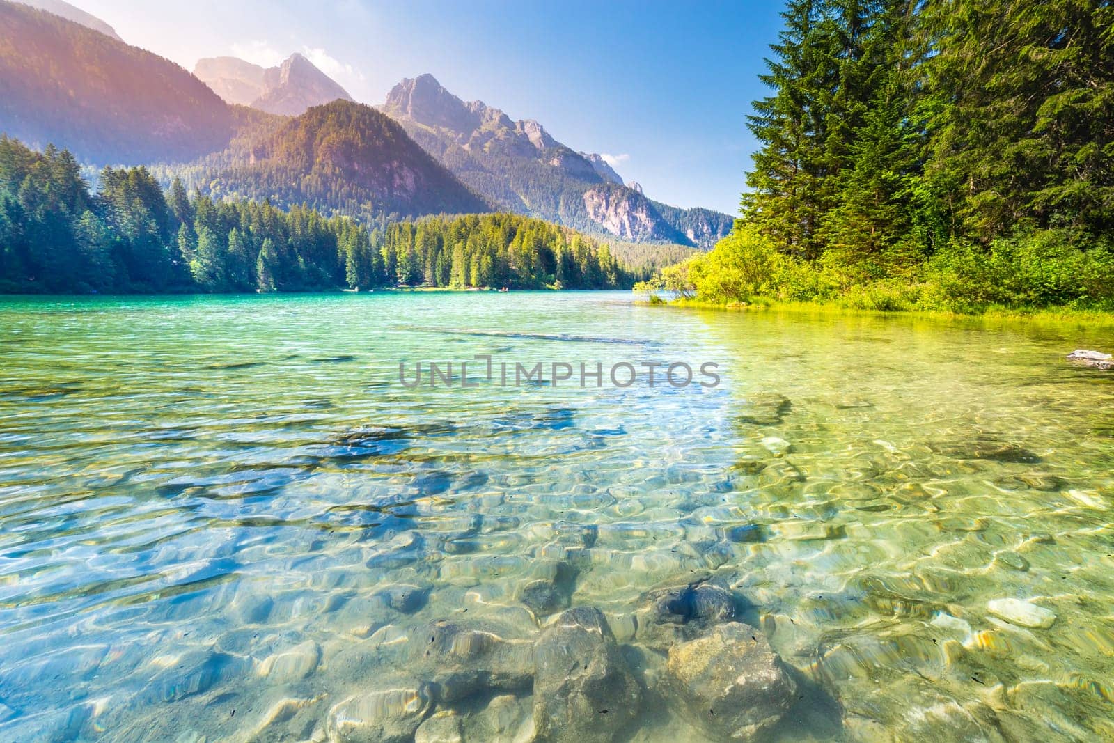 Alpine and idyllic Lake Tovel , Trentino alto adige, Dolomites alps , Italy