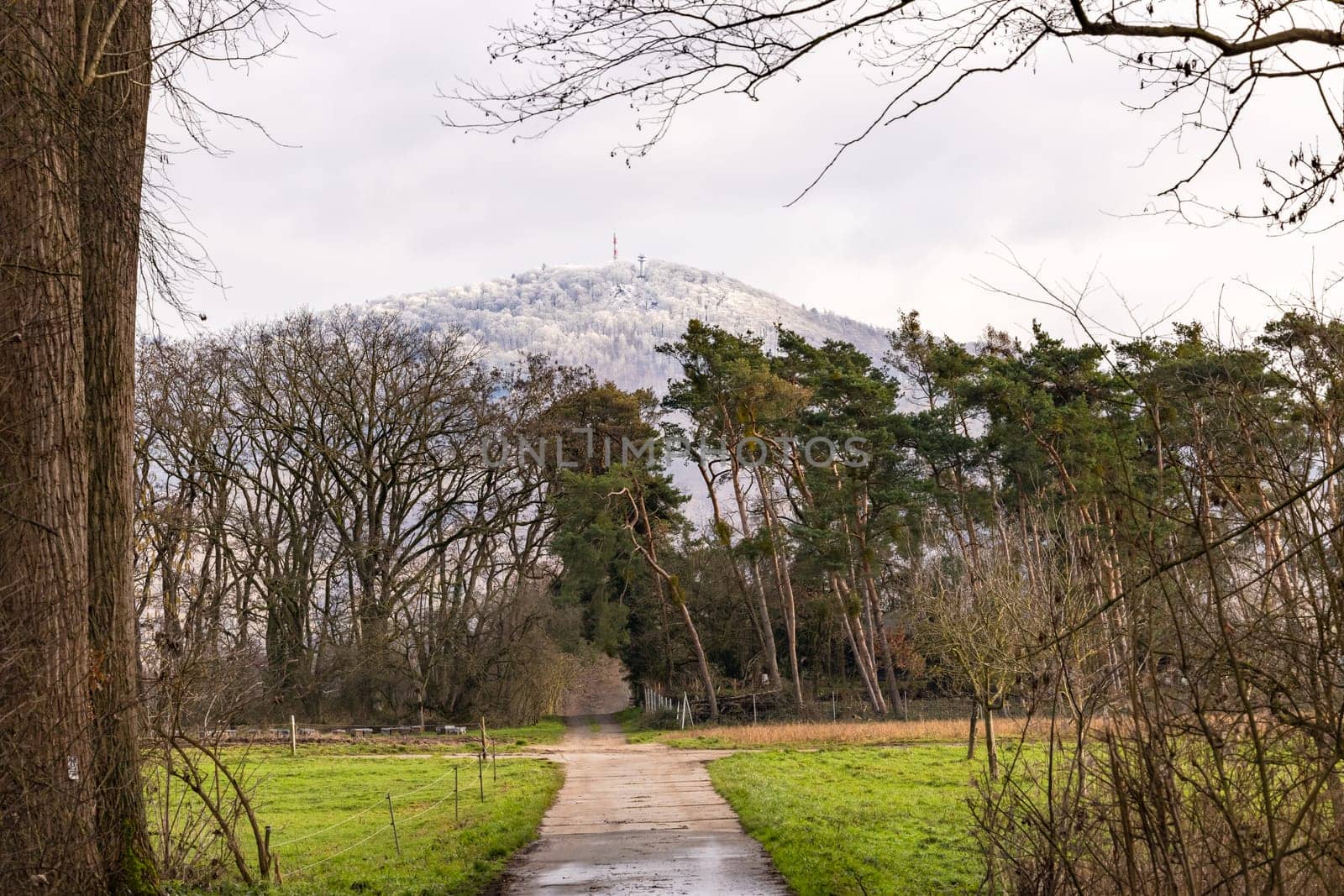A dirt road leads through green meadows and forests up to the snowy mountain in winter