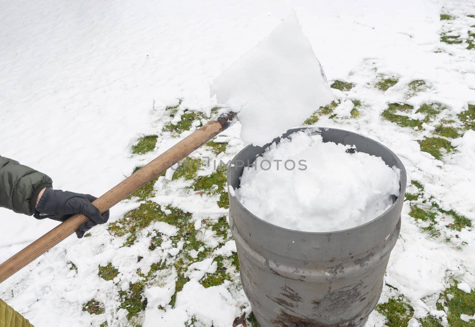 a middle-aged woman is collecting snow in a barrel with a shovel. For further watering plants in a greenhouse, the concept of protecting the environment and conserving natural resources