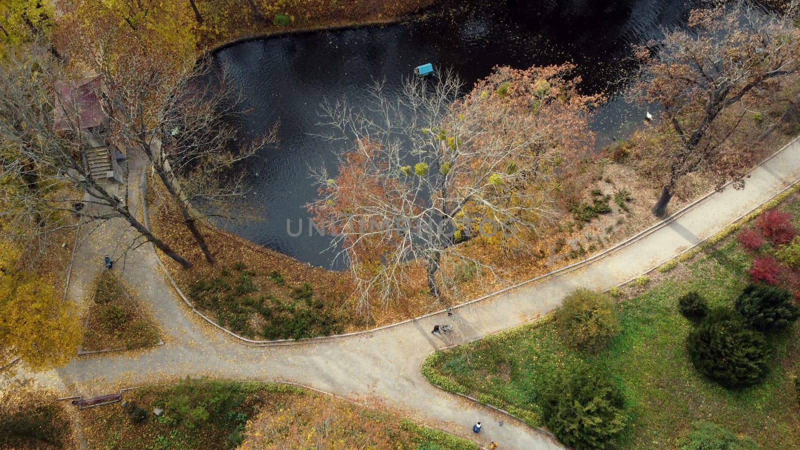 Beautiful view people walking on ground paths near lake in park with trees with yellow red green fallen leaves on sunny autumn day. Top view. Beautiful natural background. Aerial drone view.