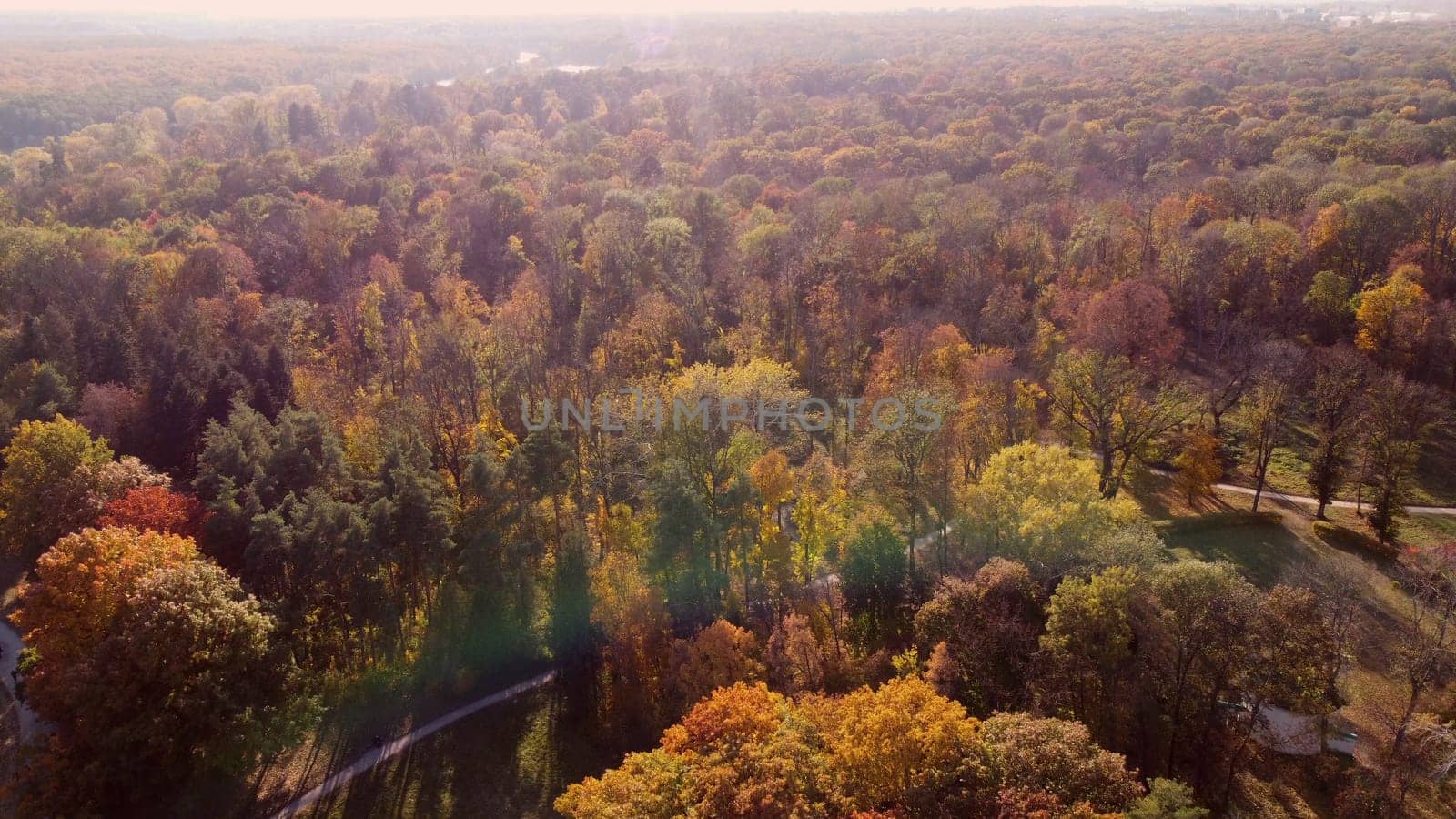 Beautiful panoramic view of many trees with yellow leaves, treetops and paths in park on bright sunny autumn day. Beautiful natural background. Concept autumn nature leaf fall