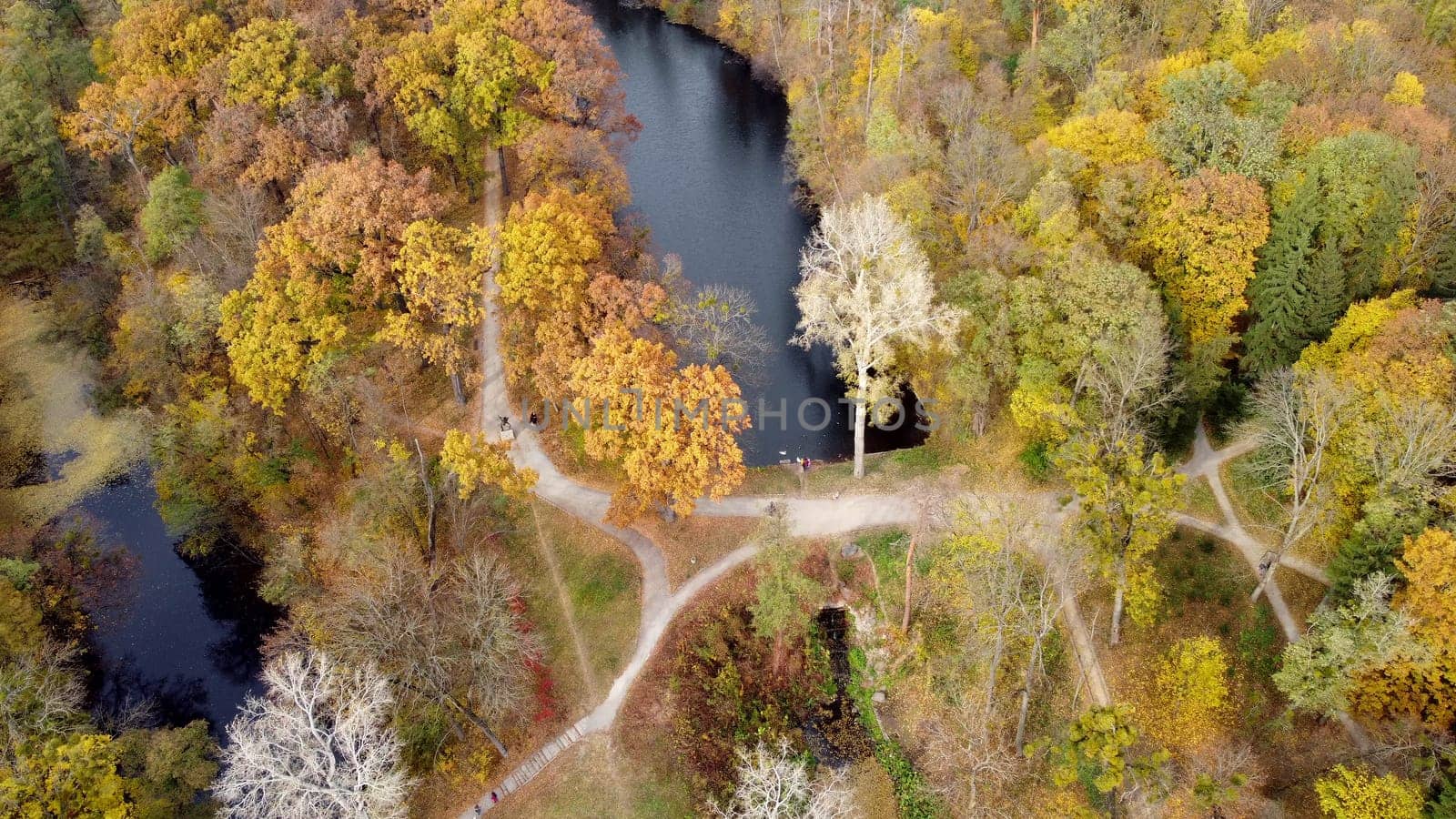 Large beautiful landscaped park in autumn day. Top view. Flying over trees with yellow red green orange fallen leaves, lakes meadow, people walking on dirty paths. Beautiful landscape view autumn park