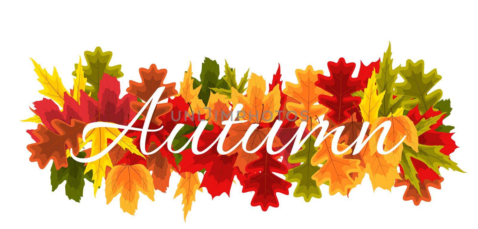 Autumn Natural Leaves Background. Vector Illustration EPS10