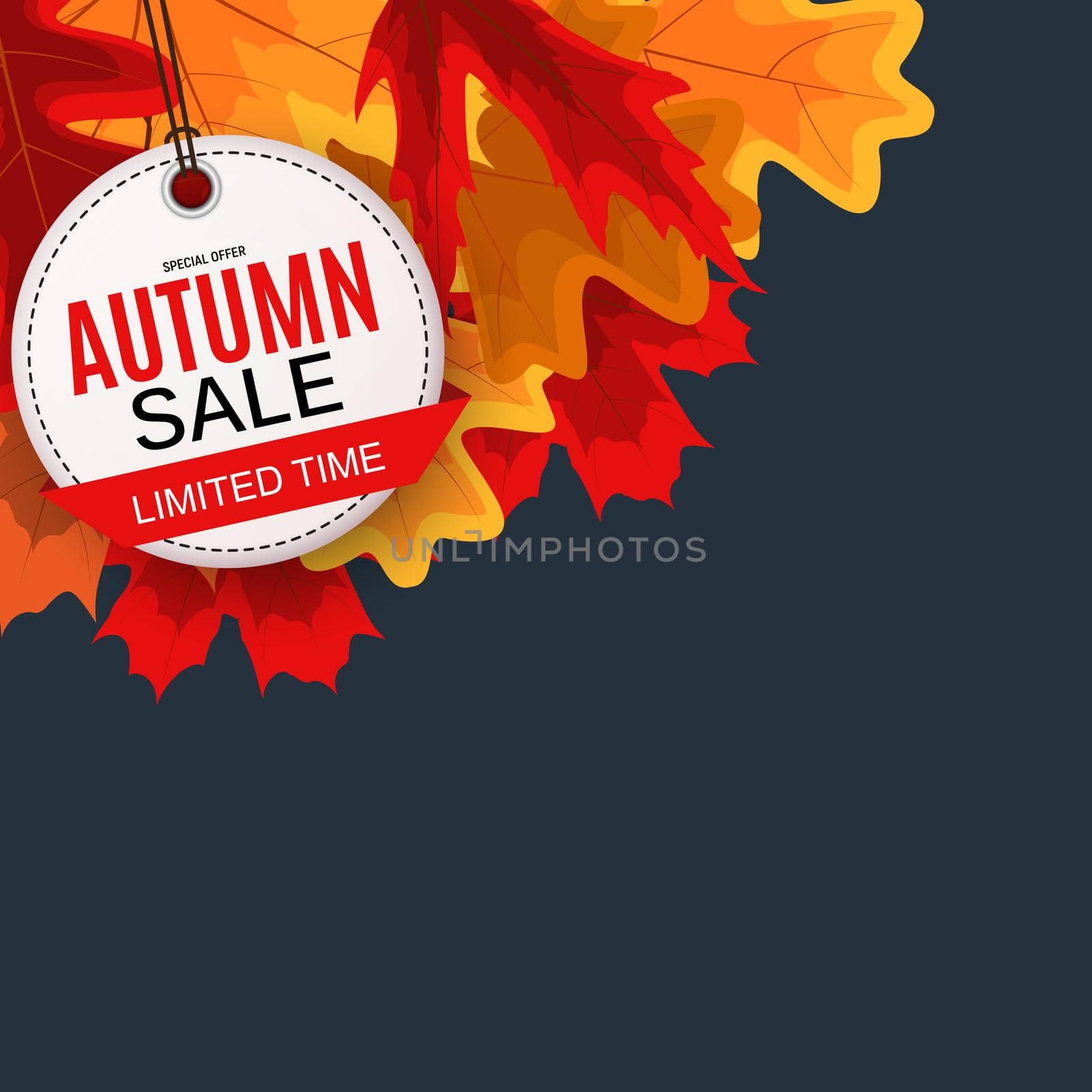 Shiny Autumn Leaves Sale Banner. Business Discount Card. Vector Illustration EPS10