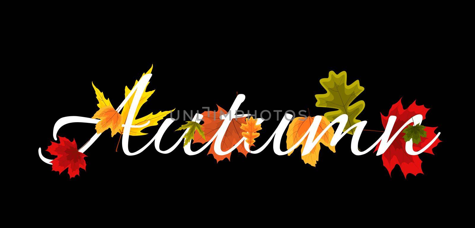 Autumn Natural Leaves Background. Vector Illustration EPS10