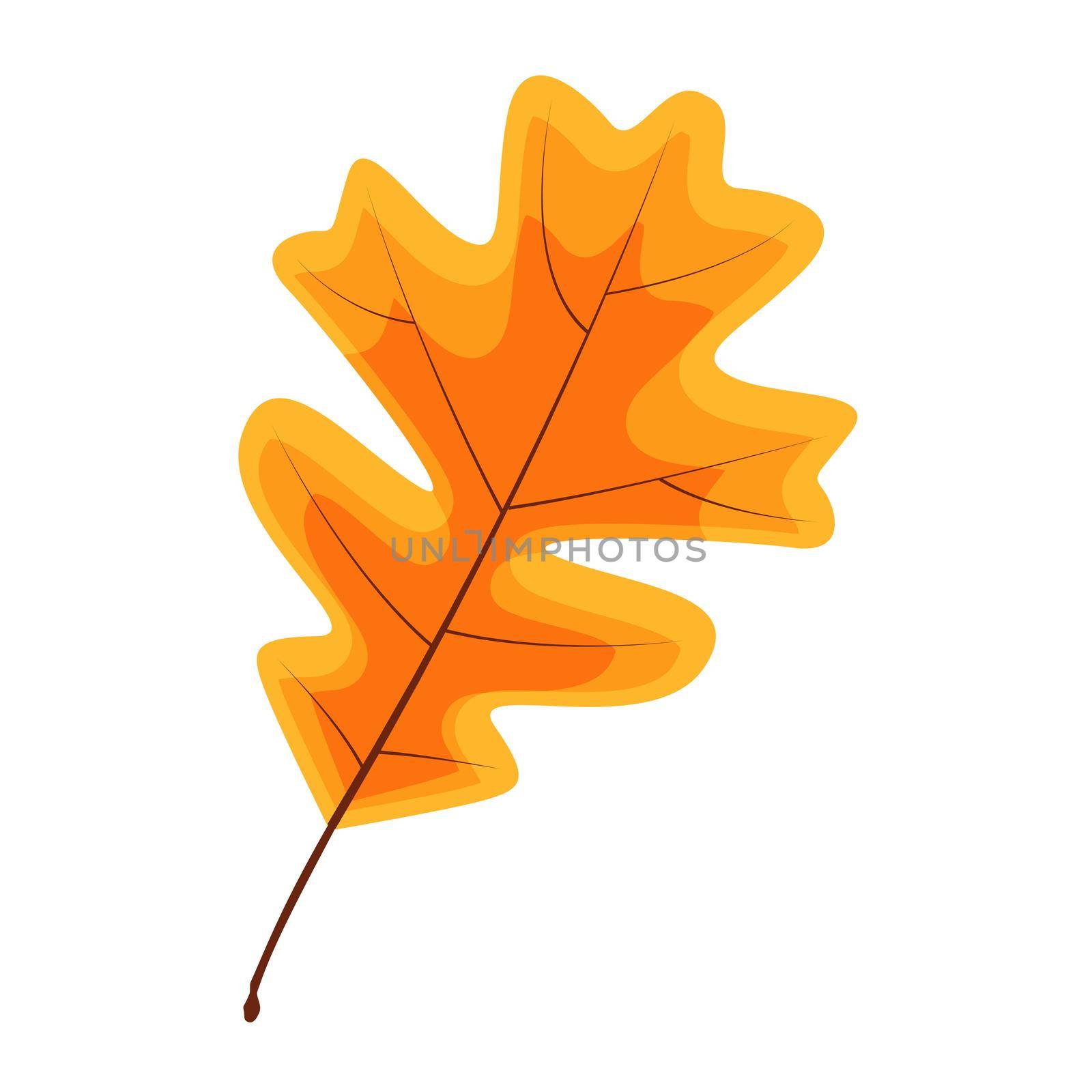 Autumn Natural Leaf Icon Vector Illustration EPS10