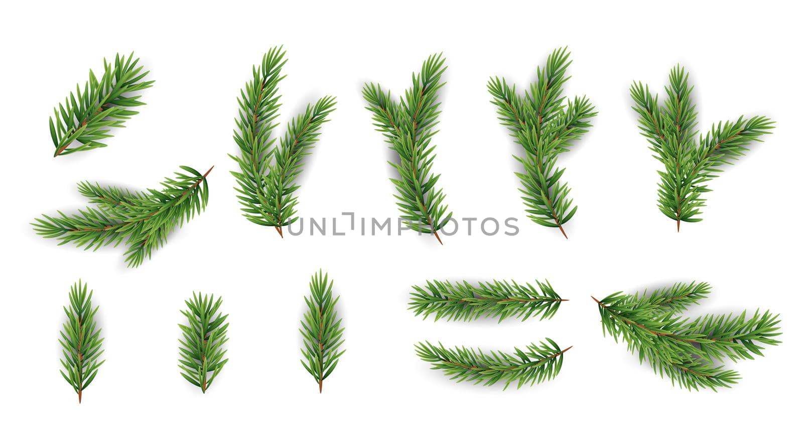 Collection Set of Realistic Fir Branches for Christmas Tree, Pine. Vector Illustration by yganko