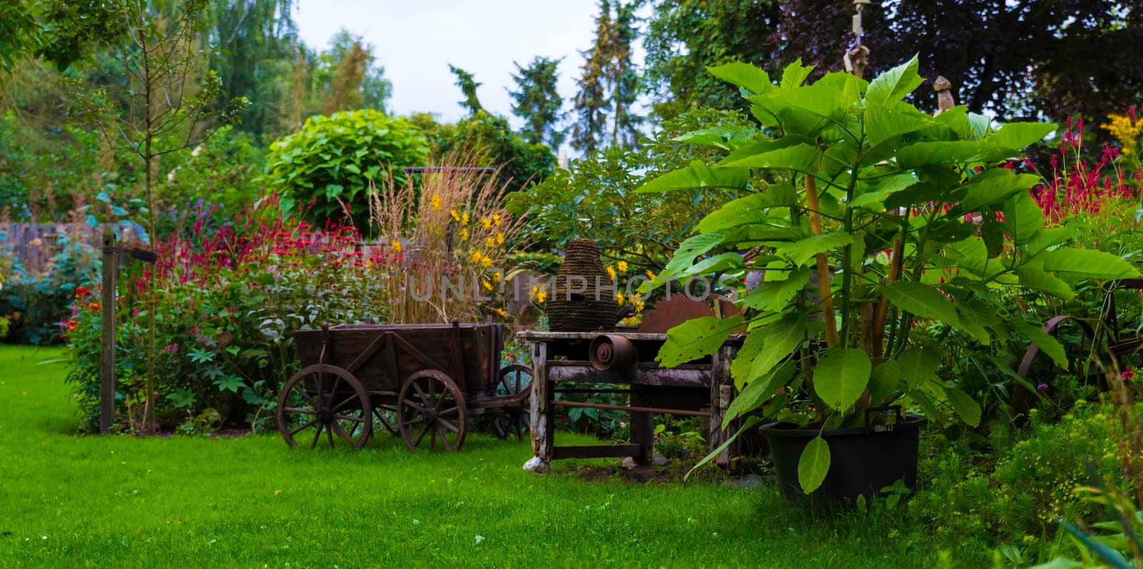 beautifull english landscape garden with green grass , flowering flowers and plants and trees