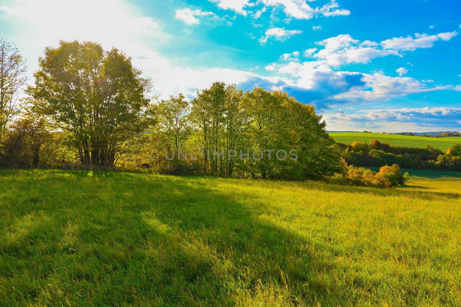 Beautiful landscape in nature - Czech Republic. Sun sky and green trees with grass at sunset. by Montypeter