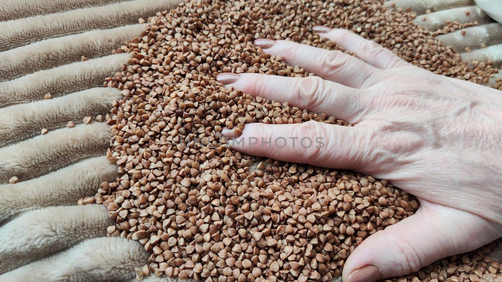 Brown buckwheat groats and hand of woman in it. Food for background and texture. Product and food that can be stored for long time. Partial focus
