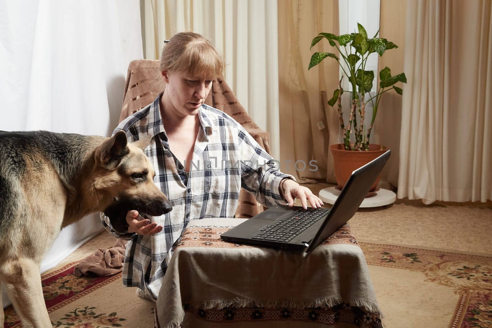 Woman and shepherd dog with netbook in living room. Portrait of pet and girl with laptop having fun and joy. Partial focus by keleny