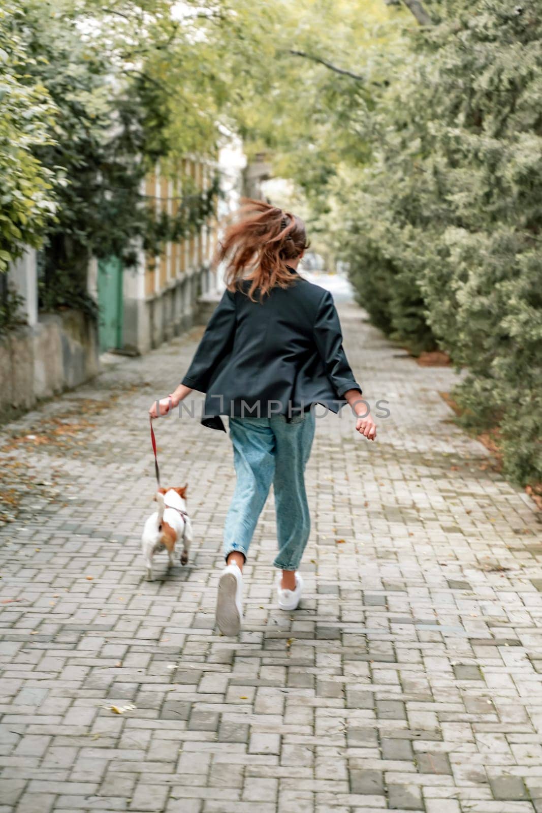 A girl and a boy are walking with a Jack Russell Terrier, walking down the street by Matiunina