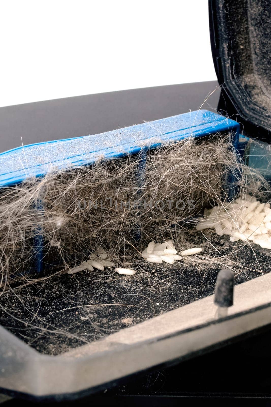 Garbage in a vacuum cleaner container on white background close up