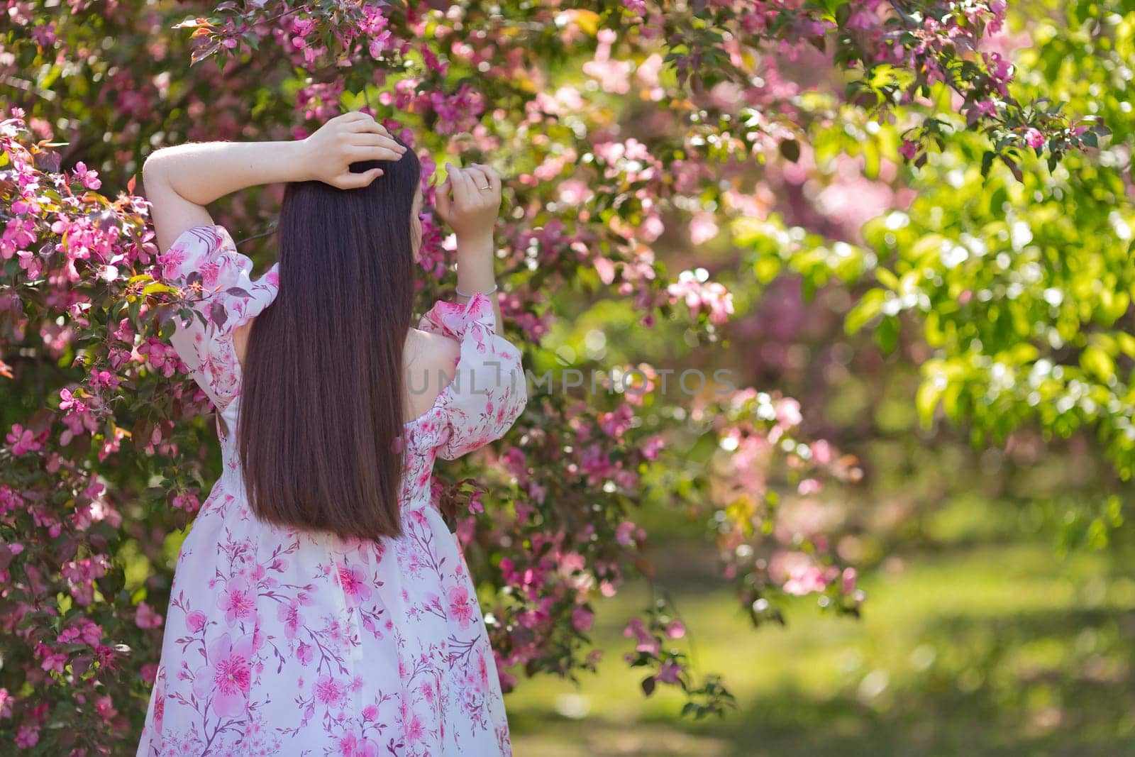 rear view, girl in a pink dress standing near pink blooming garden by Zakharova