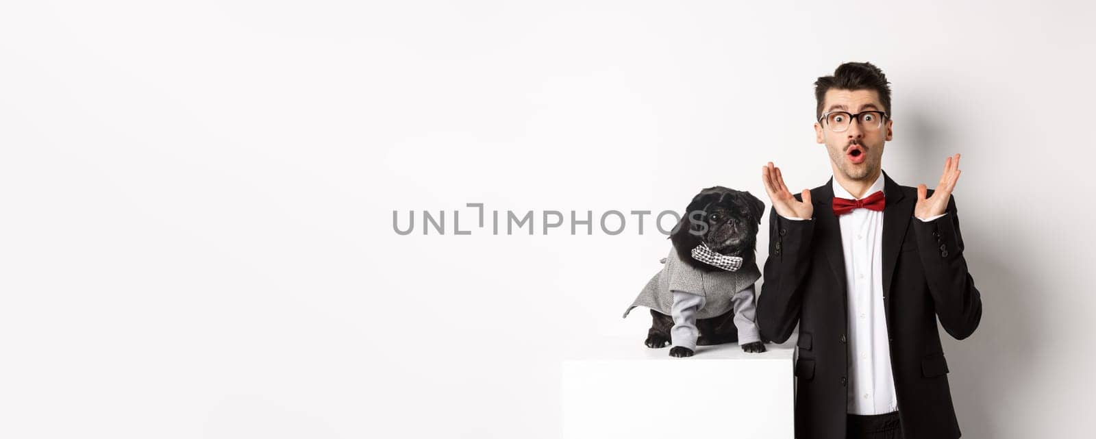 Animals, party and celebration concept. Image of dog owner and cute pug in costumes suits staring surprised at camera, reacting on promo offer, white background.