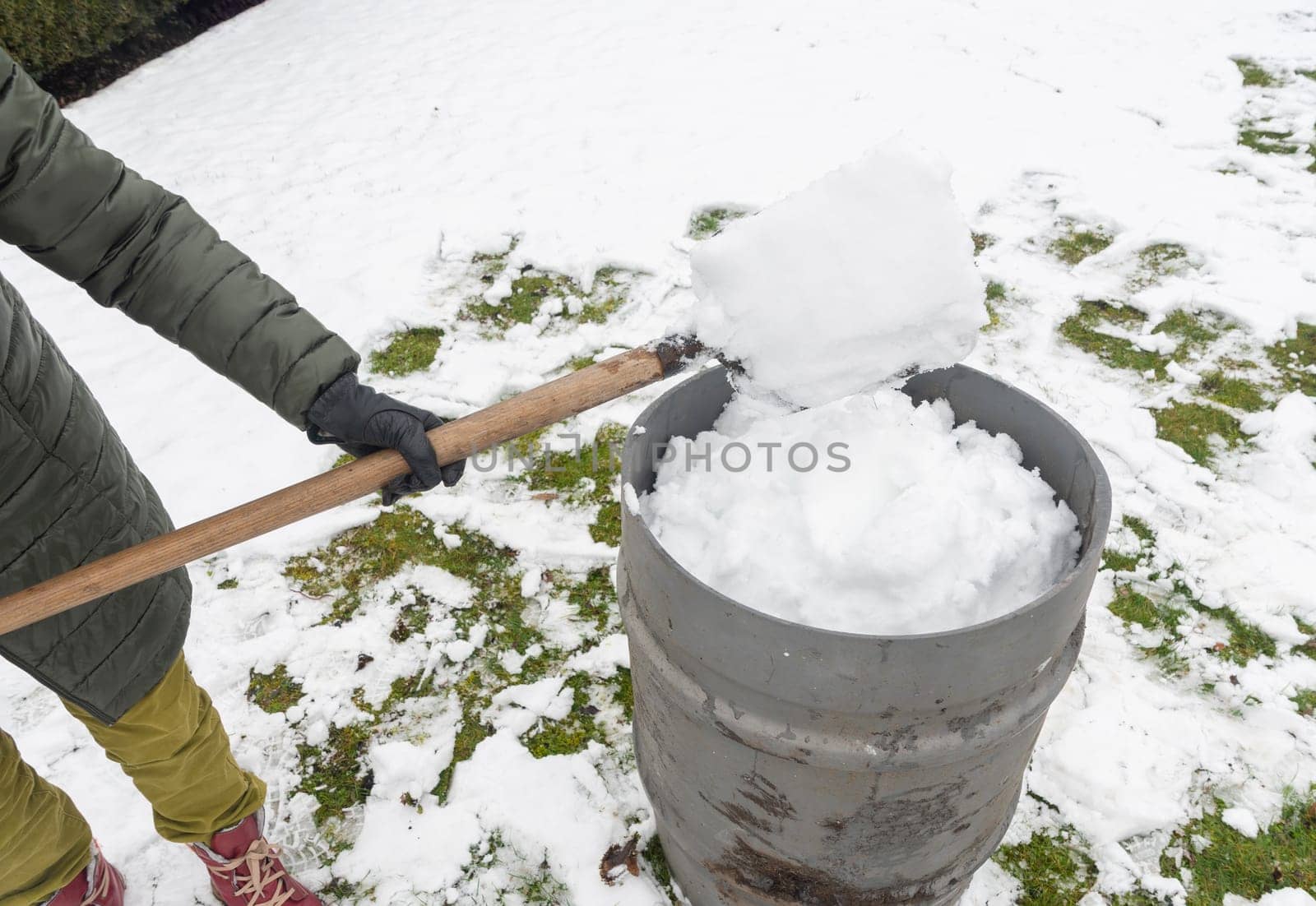 a middle-aged woman is collecting snow in a barrel with a shovel. For further watering plants in a greenhouse, the concept of protecting the environment and conserving natural resources