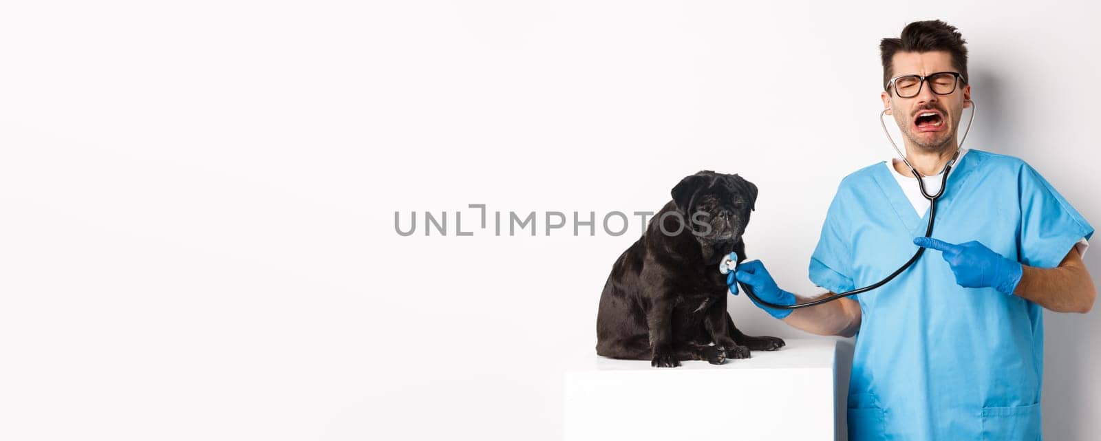 Sad male vet doctor examining cute little dog pug with stethoscope, pointing at pet and crying, standing over white background by Benzoix