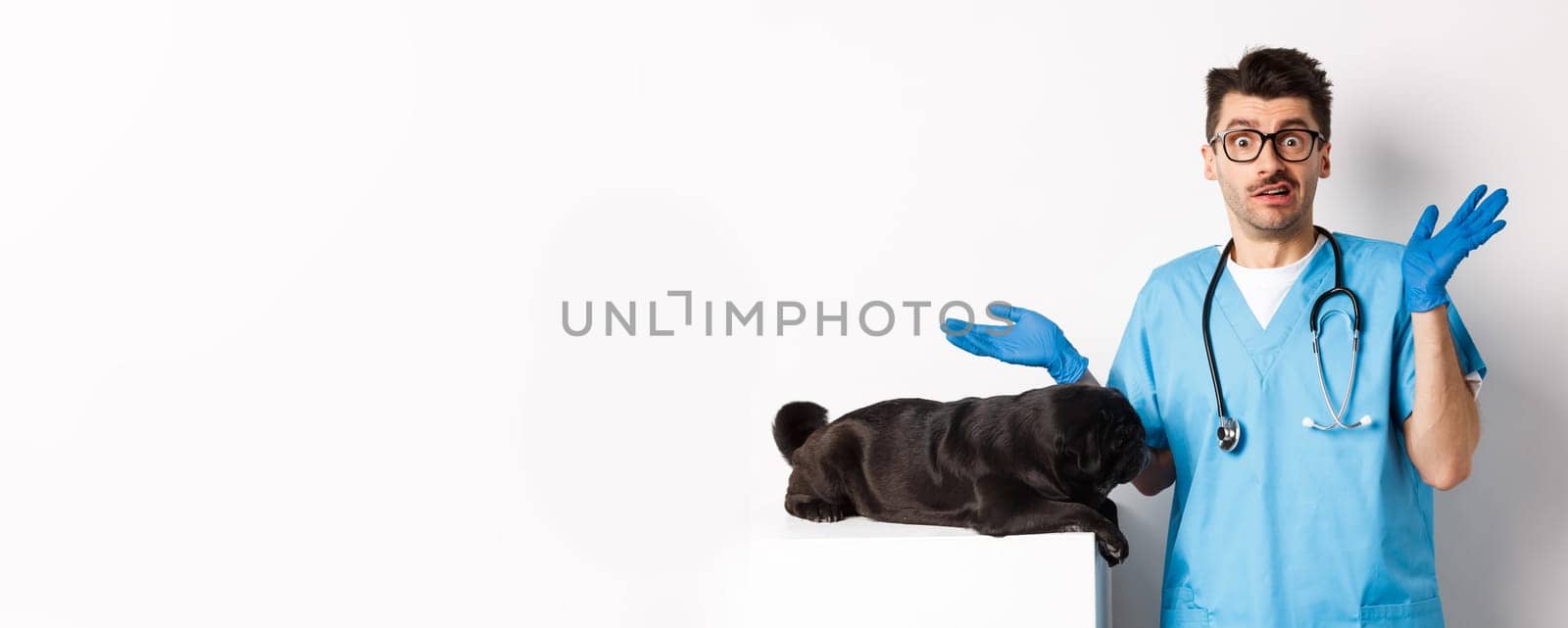 Veterinarian doctor intern in scrubs shrugging, confused how to examine dog, pug lying on table, white background by Benzoix