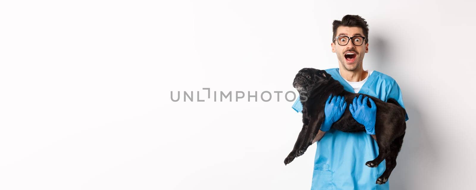 Vet clinic concept. Happy male doctor veterinarian holding cute black pug dog, staring at camera amazed, white background.