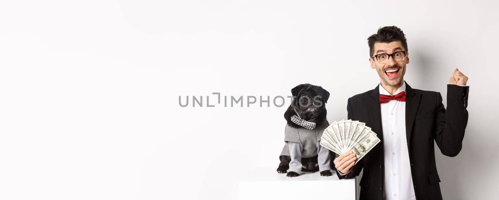 Happy young man in suit earn money with his dog. Guy rejoicing, holding dollars, black pug in costume staring at camera, white background.