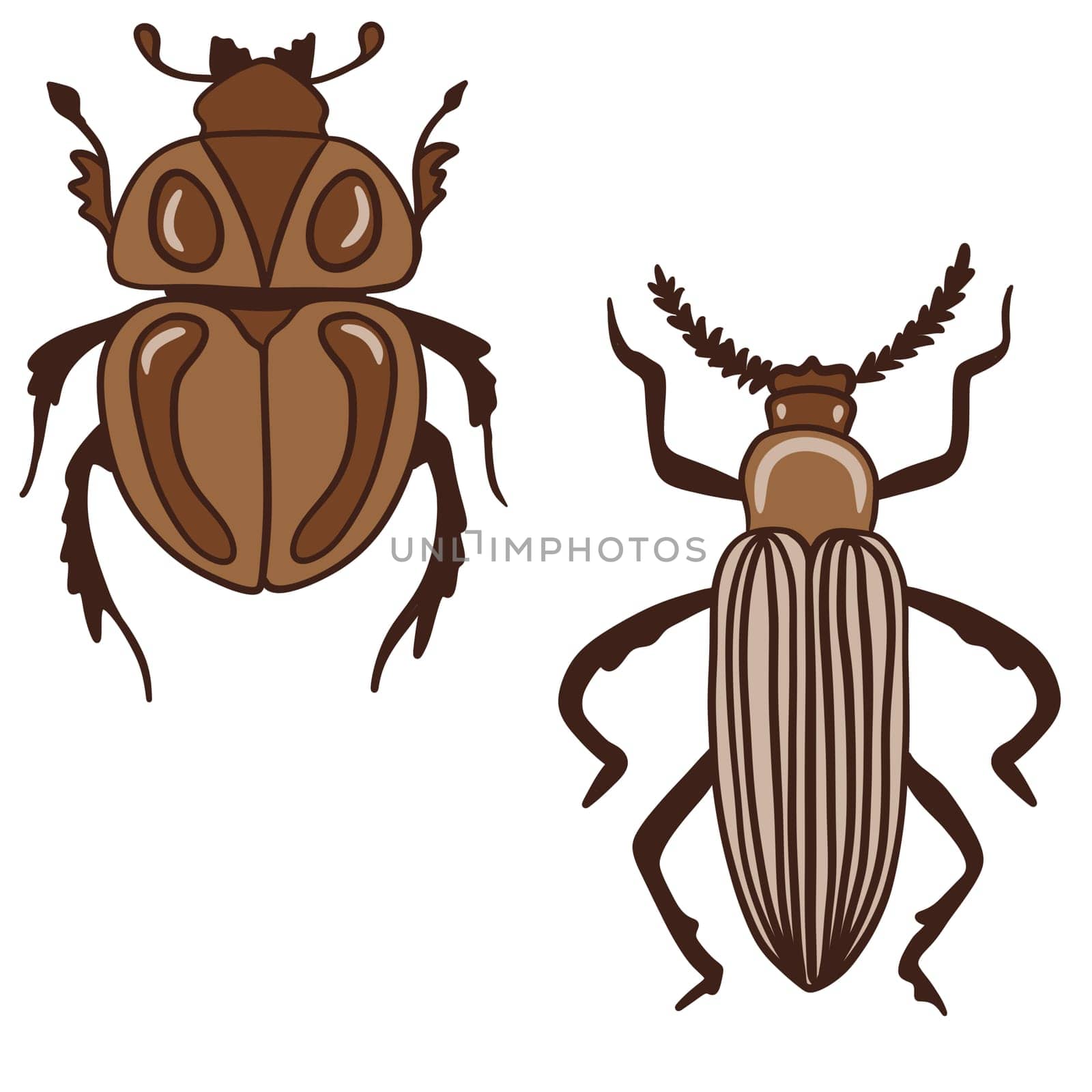 Hand drawn illustration of bug insect in beige brown colors. Nature species arthropod, minimalist style, earth tone drawing, garden forest animal, trendy decor element, neutral faded print