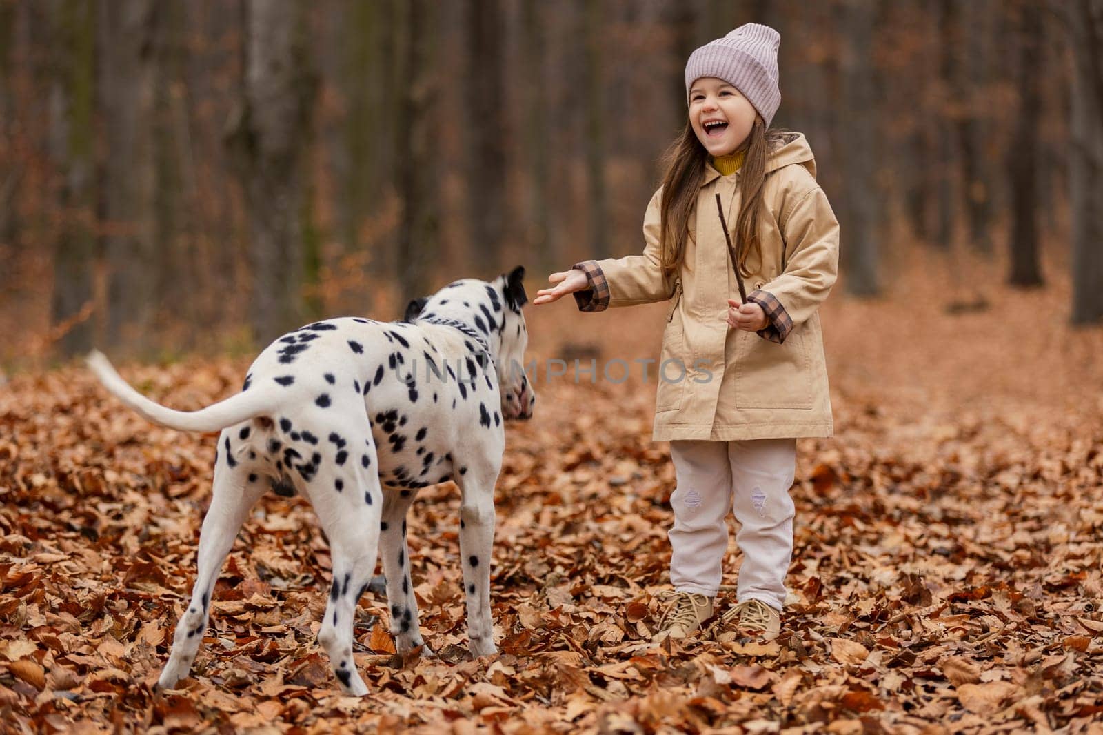 girl with a Dalmatian dog in the autumn forest