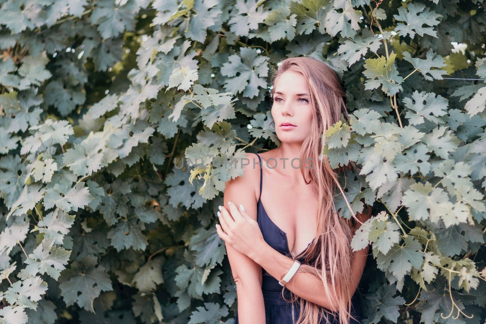 Woman travel winery. Portrait of happy woman holding glass of wine and enjoying in vineyard. Elegant young lady in hat toasting with wineglass smiling cheerfully enjoying her stay at vineyard. by panophotograph