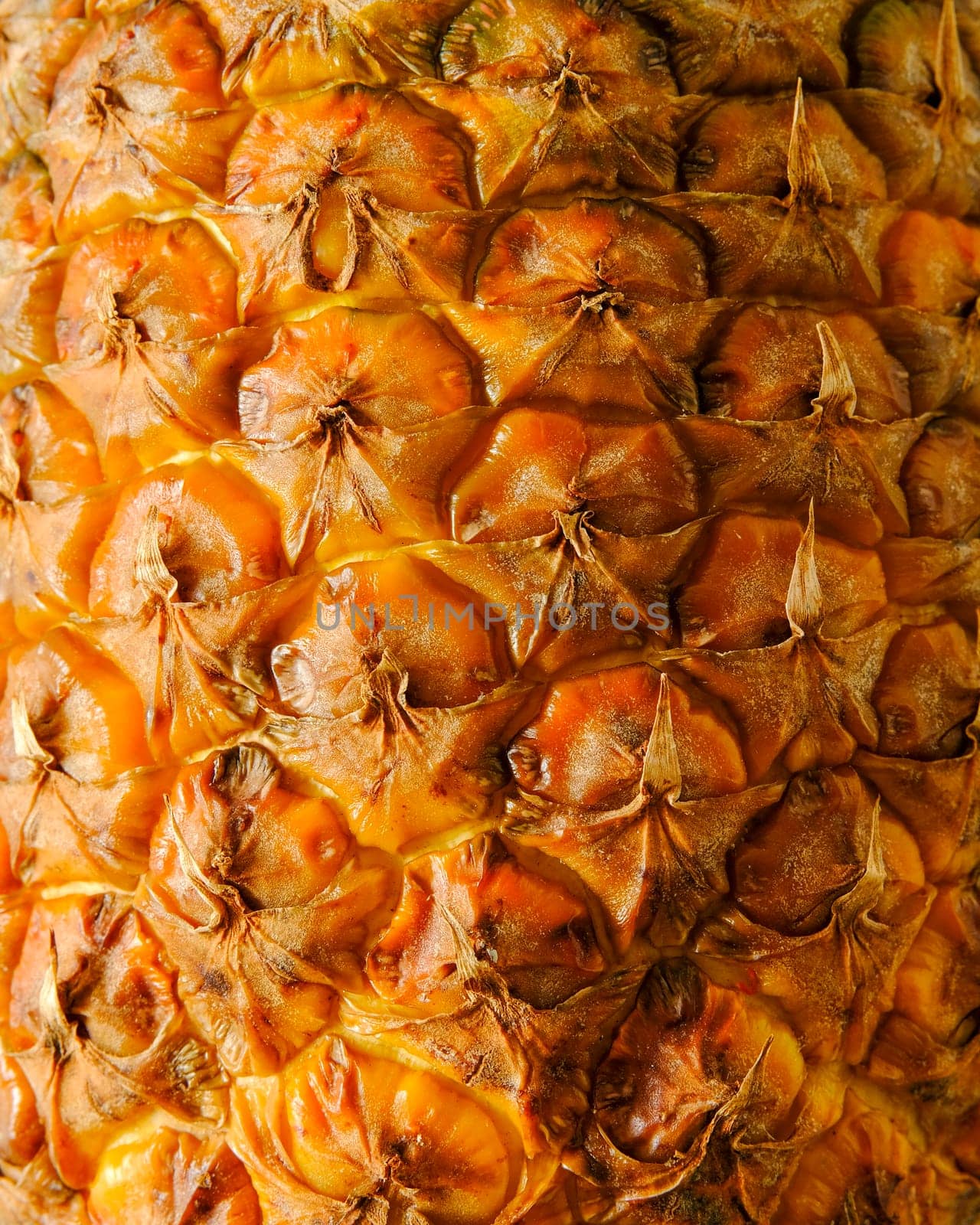 Pineapple peel texture full frame close-up. High quality photo
