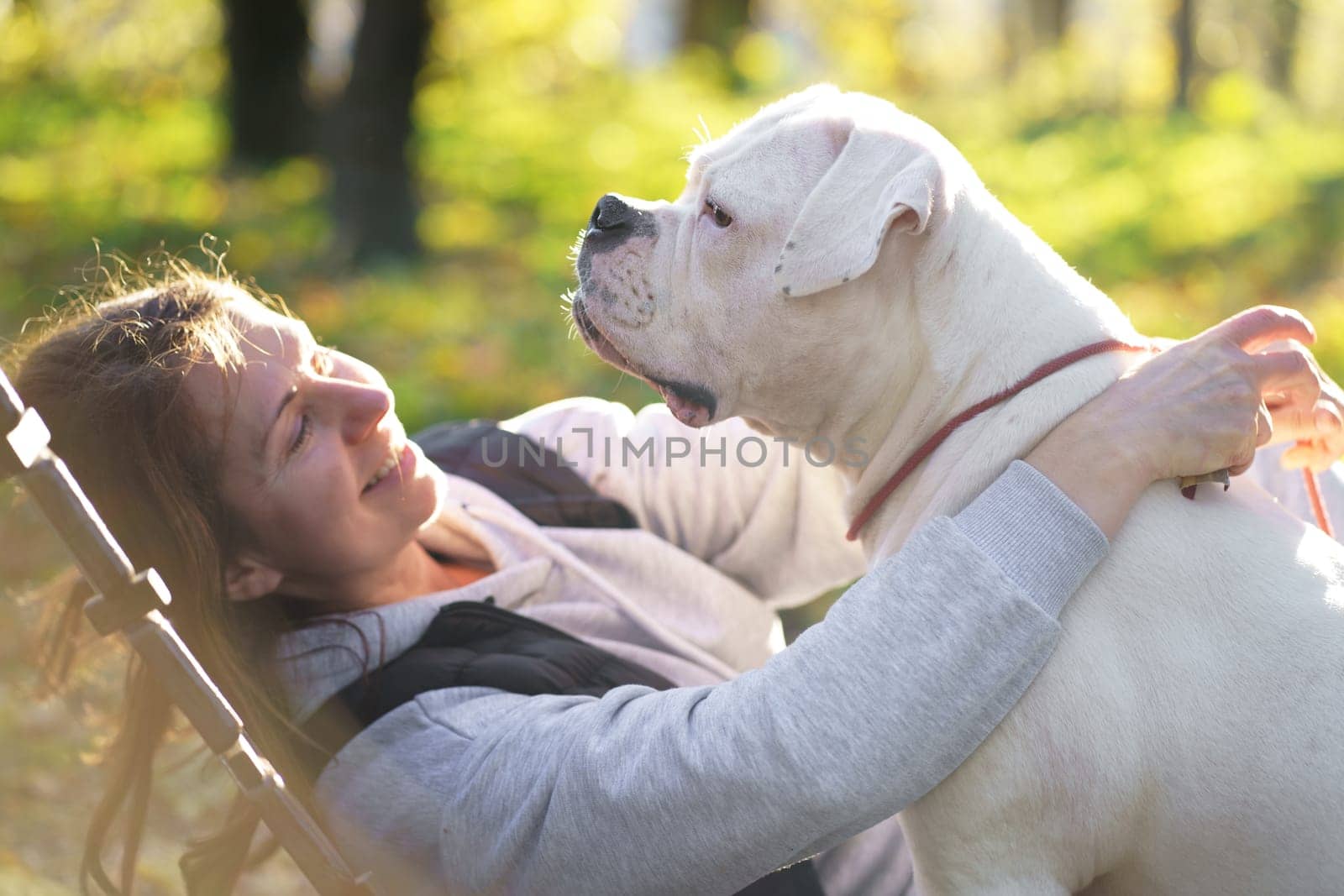 the dog plays with the mistress in the park. Close-up of a woman in a jacket and an American bulldog dog