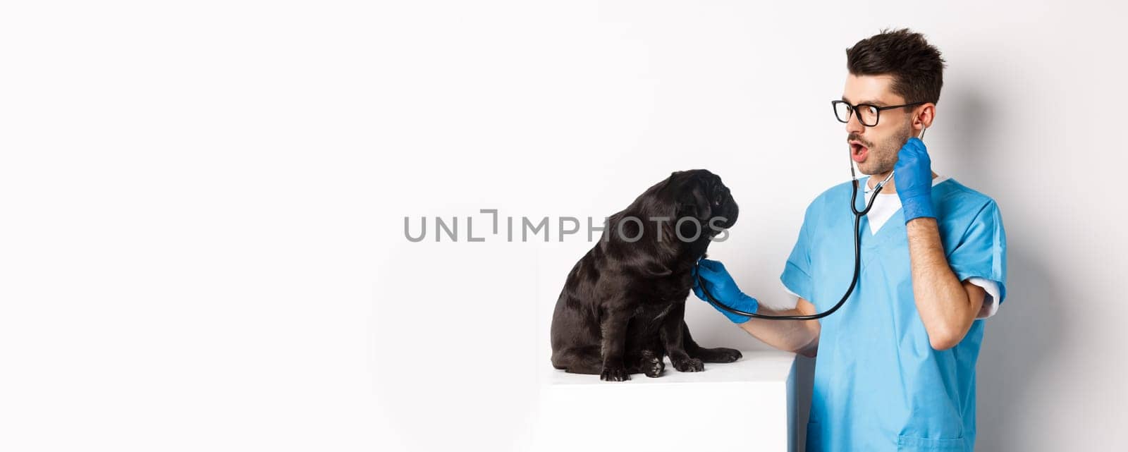 Image of handsome doctor in vet clinic examining dog health, checking pug lungs with stethoscope, standing over white background.