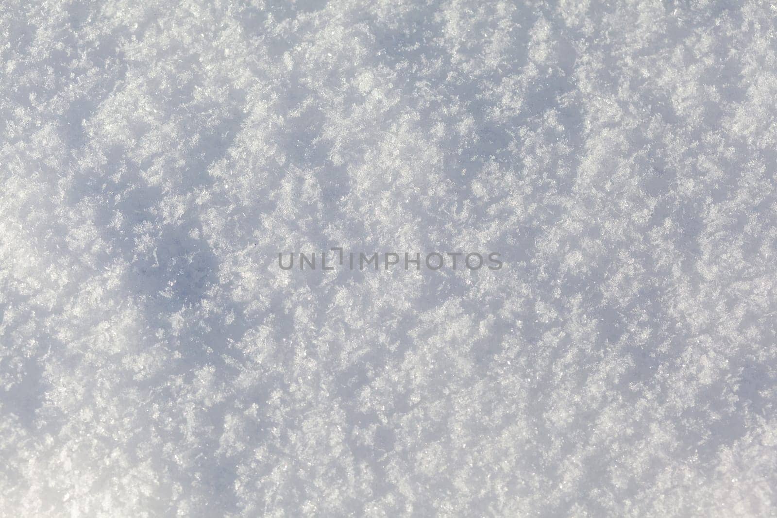 Clean, white snow close-up. Winter background. Snow surface. Fresh fluffy white snow texture.White snowflakes. High quality photo