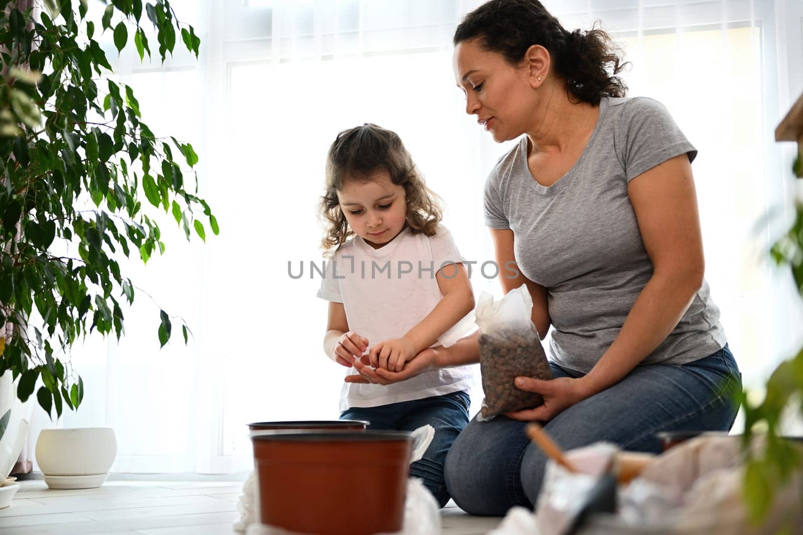 Loving mother and her lovely little girl taking care of houseplants, putting expanded clay into a pot while repotting or planting houseplants and seeds at springtime, enjoying together gardening hobby