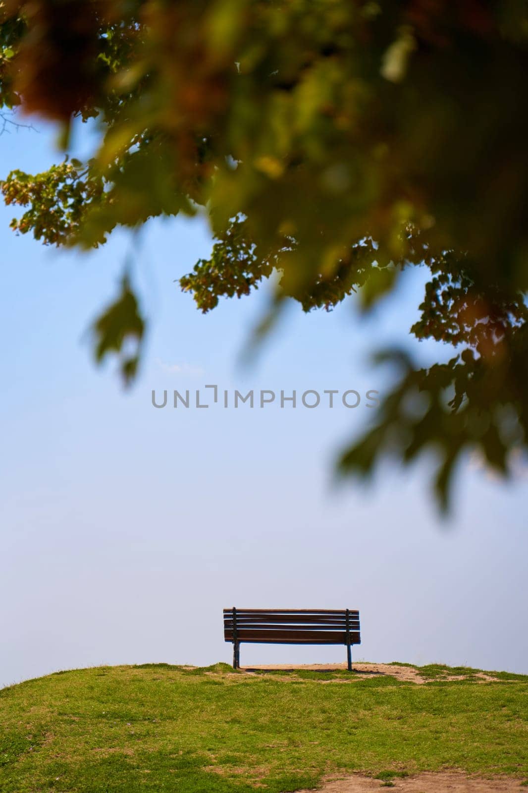An empty bench on a park lawn against the sky.