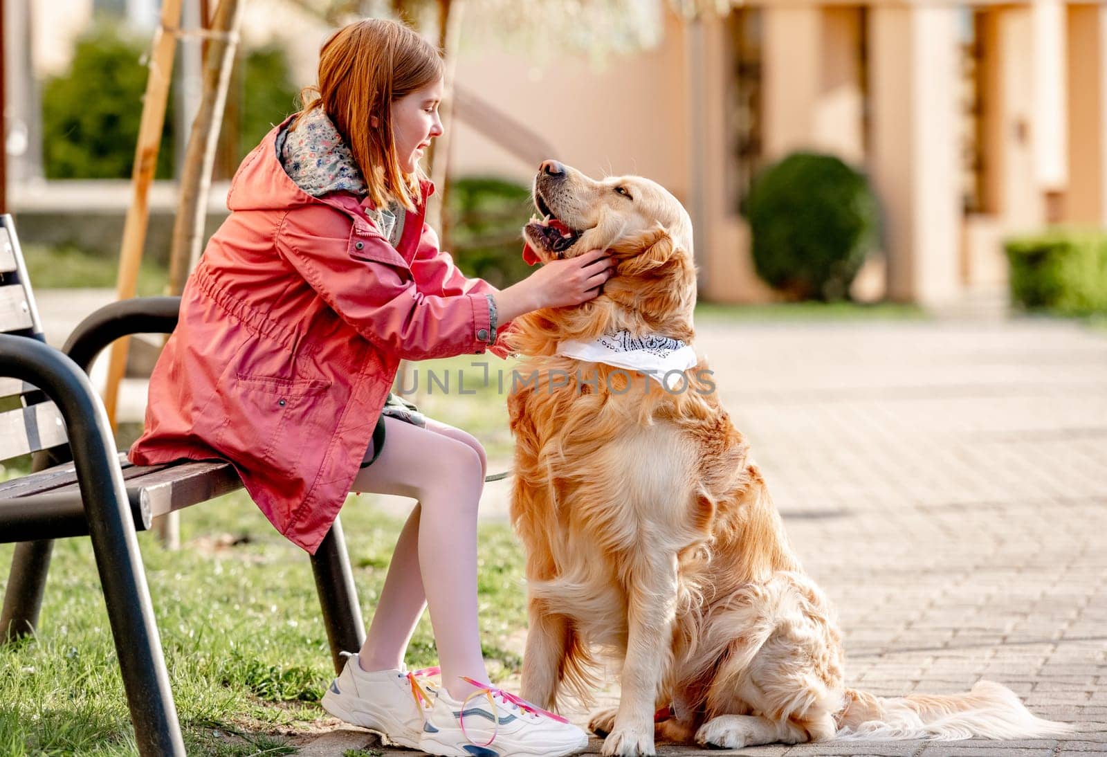 Girl petting golden retriever dog sitting on bench outdoors in sunny day in city. Female child kid and pet doggy labrador portrait