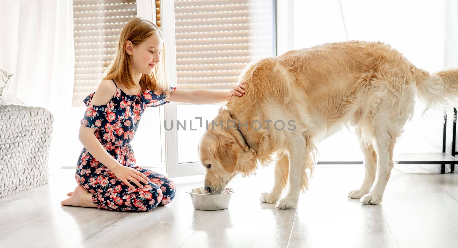Golden retriever dog eating food with girl by GekaSkr