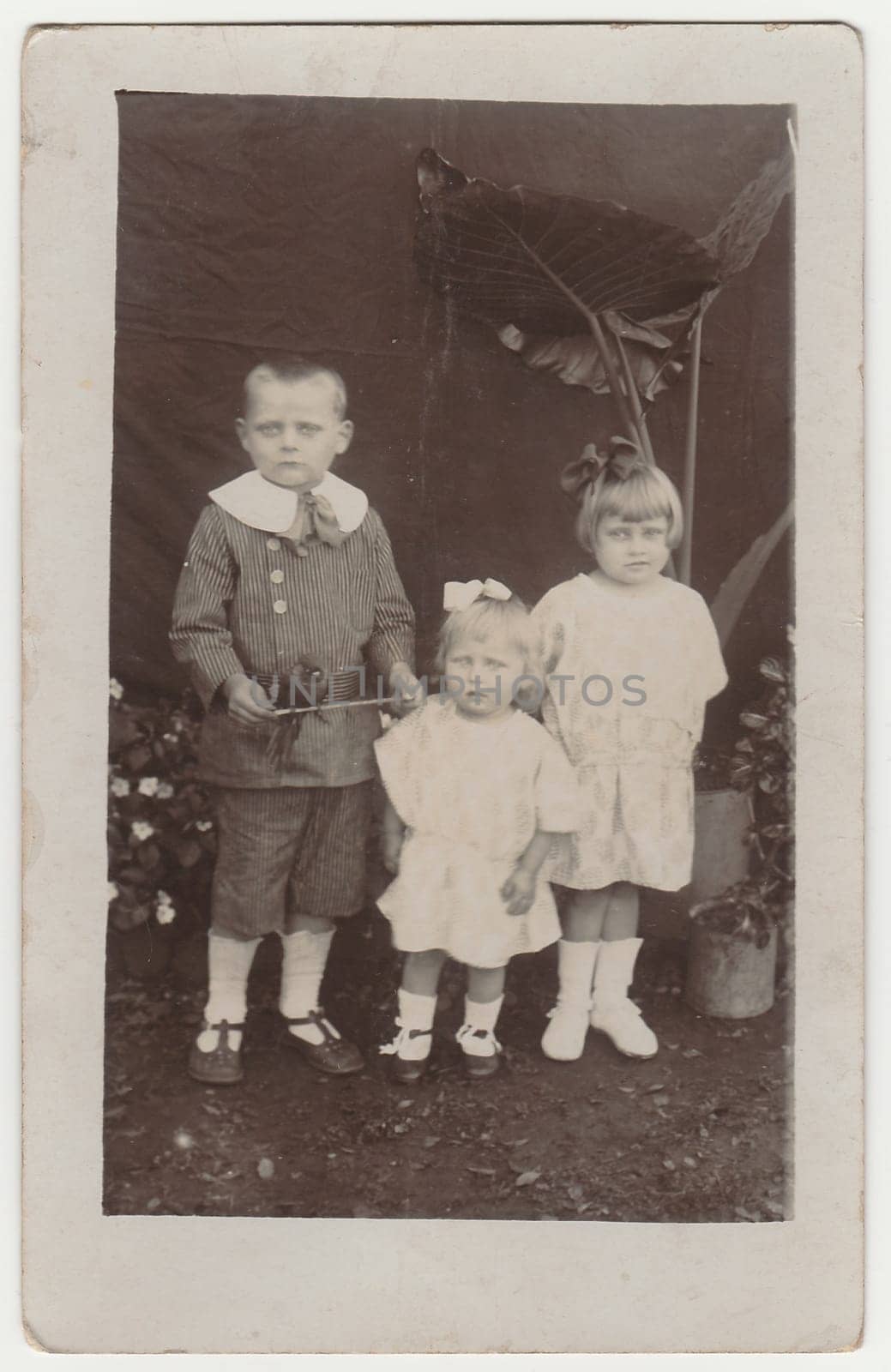 Vintage photo shows children siblings pose outdoors. Black white antique photo. by roman_nerud