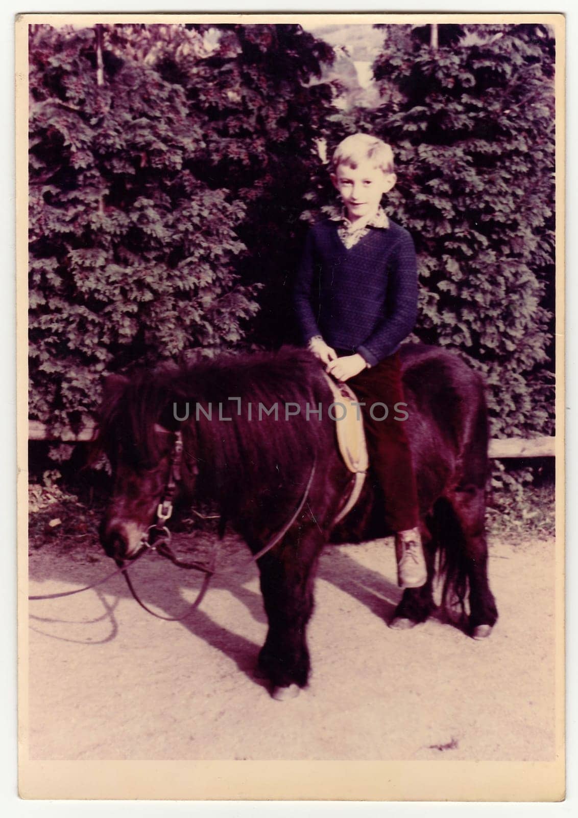 Vintage photo shows boy sits on pony in an amusement park. Colour photography. by roman_nerud