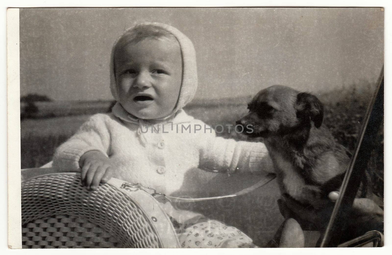 THE CZECHOSLOVAK SOCIALIST REPUBLIC - CIRCA 1980s: Vintage photo shows baby boy with dog outdoors. Antique black white photo.