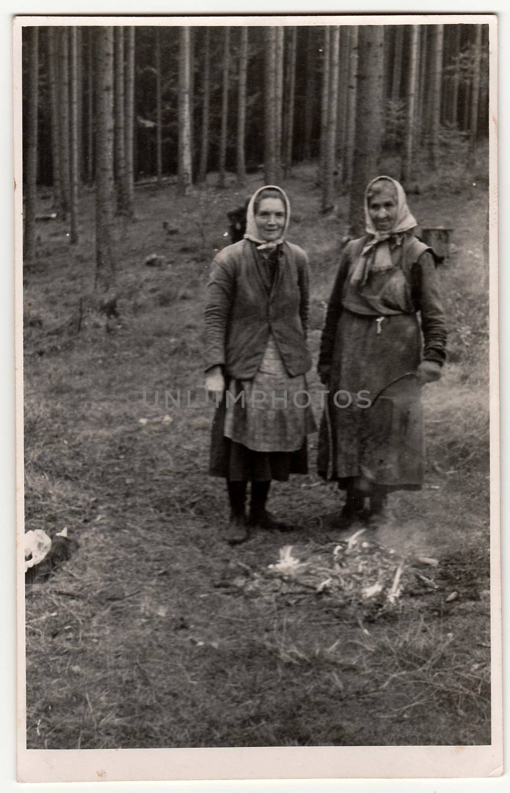 THE CZECHOSLOVAK REPUBLIC - CIRCA 1950s: Vintage photo shows rural women in the forrest . Black white antique photography.