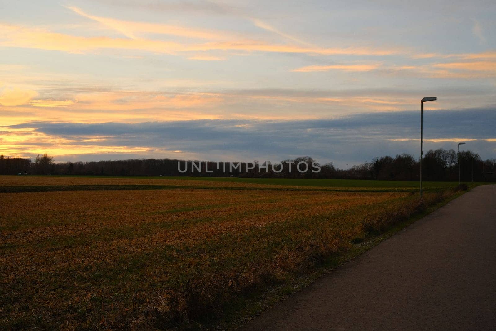 Field along a road against a scenic sunset sky in Meerbusch, Germany