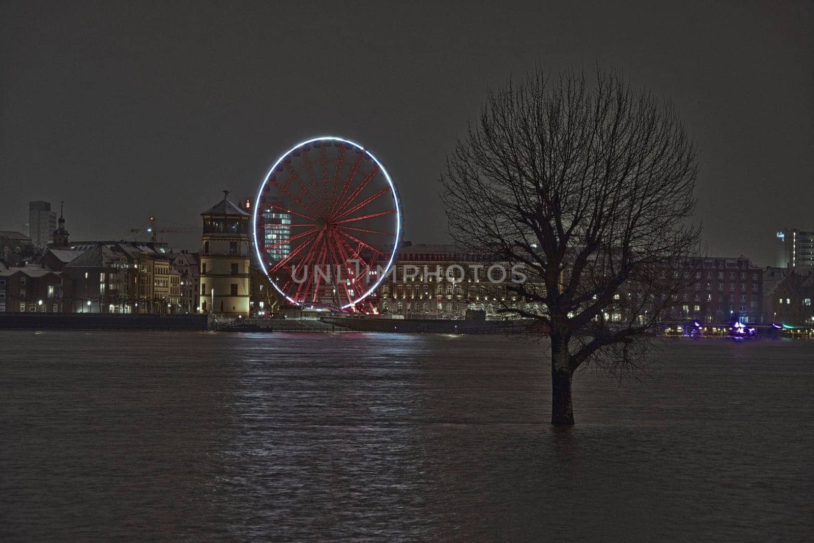A single tree in flooded Rhine river with a ferris wheel in the background
